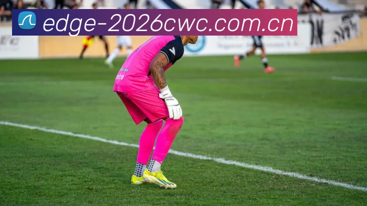 2026世界杯 App 界面